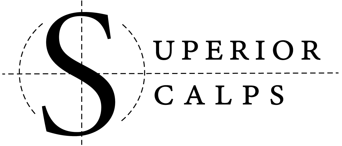 SS-LOGO-Black-text-on-clear-background_small_2.png - Bluewing Digital